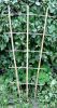 Sell bamboo trellis