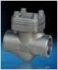Forged Steel check valves