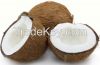Sell Coconut