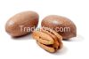 Sell Pecan Nut