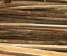 Sell RUBBERWOOD ROUGH SAWN TIMBER