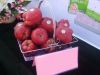 Sell fresh red delicious apple