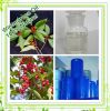 Sell 100% Pure and Natural Wintergreen Oil