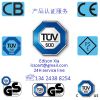 Provide European CE mark, GS mark, TUV mark, E-mark, SAA certification