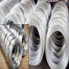 Sell galvanized wire