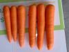 Sell carrot