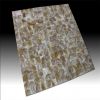 Sell Freshwater Shell Tiles with Pattern