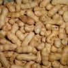 Peanut Kernels For Sale