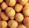 Sell Macadamia Kernel