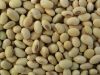 Sell Chinese Soya Beans