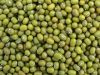 Sell Chinese Mung beans