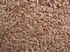 Sell Chinese Flax Seeds