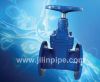Ductile iron valves
