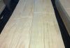 Sell radiata pine veneer