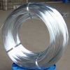 Sell 304 Stainless Steel Wire