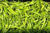 I AM EXPORT AND SUPPLY GREEN CHILLI