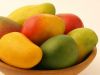 We Supply Fresh Mangos, Avocado, Guava fruits, Fresh Jasmine flower