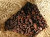 Sell Cocoa Beans (Ghana Origin) for Sell