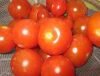 Pure Natural Tomato Extract /Lycopene