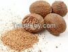 nutmeg from indonesia
