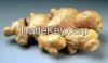 hot and potent indonesia ginger