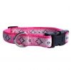 Sell Pet Collars GW-B049