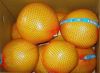 Sell chinese fresh Honey Pomelo crop 2011
