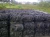 The Purchase of Baled and Shredded Waste Tyres