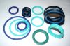 Supply all kinds of hydraulic seal