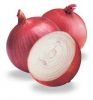 Selling Onions from India