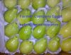 Sell Fresh Guava