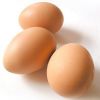 Our company has experience in CHIKEN EGGS export to many countries