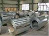 Sell steel coil