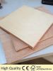 CE/FSC Cheap Ordinary Plywood for sale