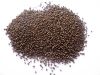 Sell Fresh water fish feed