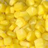 Maize | Maize Exporter | Corn Grain Seller | Maize Buyer | Bulk Maize Grain Importer | Corn bean Buyer | Corn bean Wholesaler | Corn Grain Manufacturer | Best Quality Corn Grain | Cheap Maize Supplier | Low Price Corn | Yellow Corn | White Cron | Baby Mai