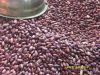 Sell LSKB Light speckled Kidney Bean from China