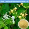 HoneySuchle Flowers Extract