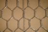 Electro Galvanized Chicken wire mesh