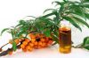 Sea Buckthorn berry oil