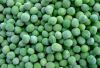 Sell Frozen Green Peas