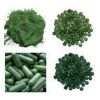 Sell spirulina tablets