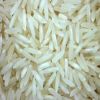 Rice selling rice of all qualities as per buyers requirmenta