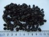 Sell Dried Blueberry