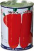 Sell orange SK-316 seven-inch carrot seed(209)