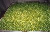 Sell Fresh California Green Olives (Bulk Packaging)