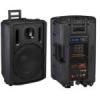 Sell Professional portable wireless amplifier PA12D