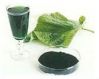 Sell Oil Soluble Chlorophyll