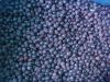 Sell IQF Blueberries