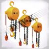 Sell DHY-2 Chain Electric Hoist